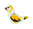 Pappagallo bianco e gialo